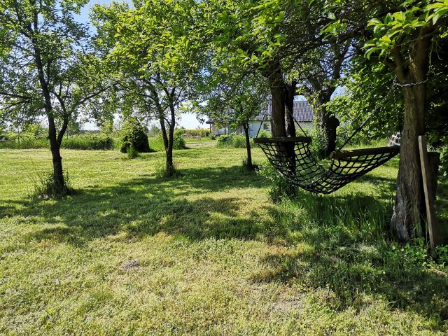 Działka rolna Banie. Zdjęcie 5