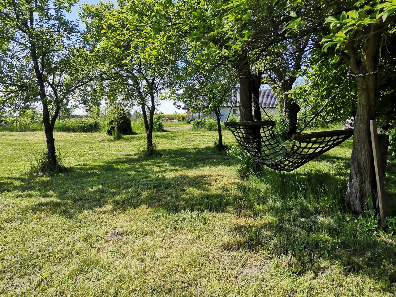 Działka rolna Banie. Zdjęcie 5