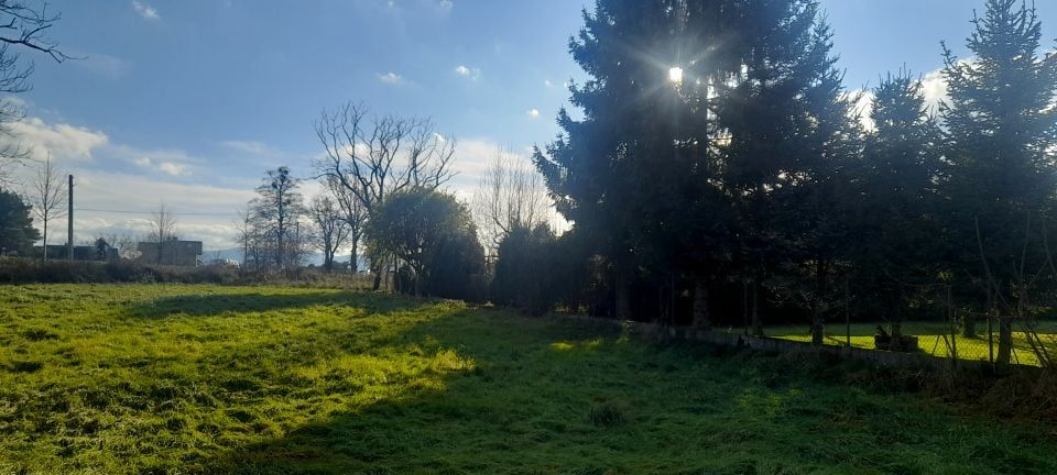 Działka budowlana Kiczyce, ul. Prosta. Zdjęcie 6