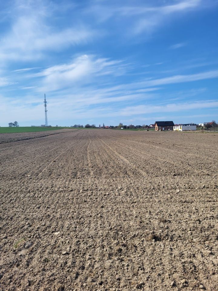 Działka budowlana Kamienna. Zdjęcie 2