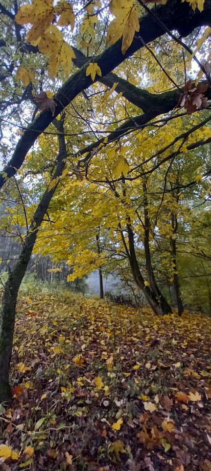 Działka rolno-budowlana Jania Góra Rudzianek. Zdjęcie 7