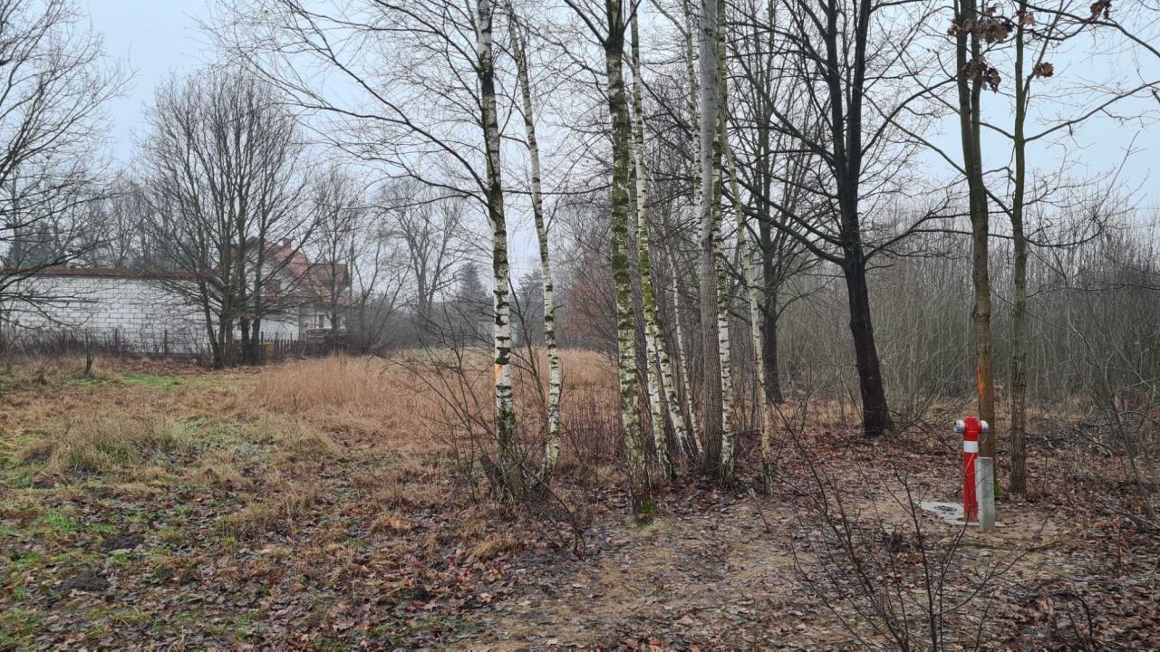 Działka budowlana Tłuszcz, ul. Bolesława Prusa. Zdjęcie 3