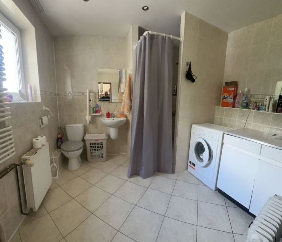 dom wolnostojący, 5 pokoi Jędrzychów. Zdjęcie 13