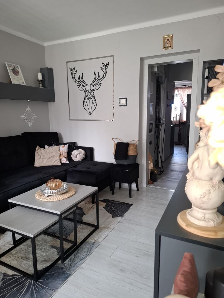 Mieszkanie 3-pokojowe Rybnik Boguszowice, ul. Patriotów. Zdjęcie 3