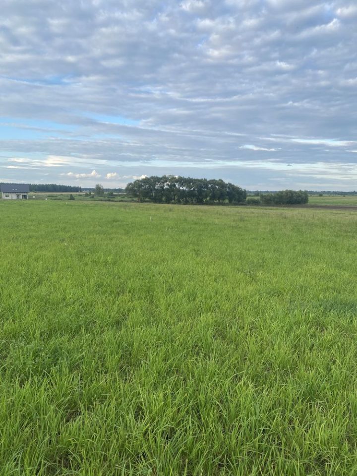 Działka budowlana Orłowo. Zdjęcie 1