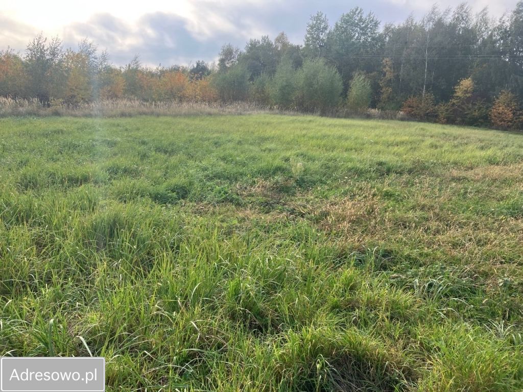 Działka budowlana Szczecin Kijewko, ul. Regatowa. Zdjęcie 13