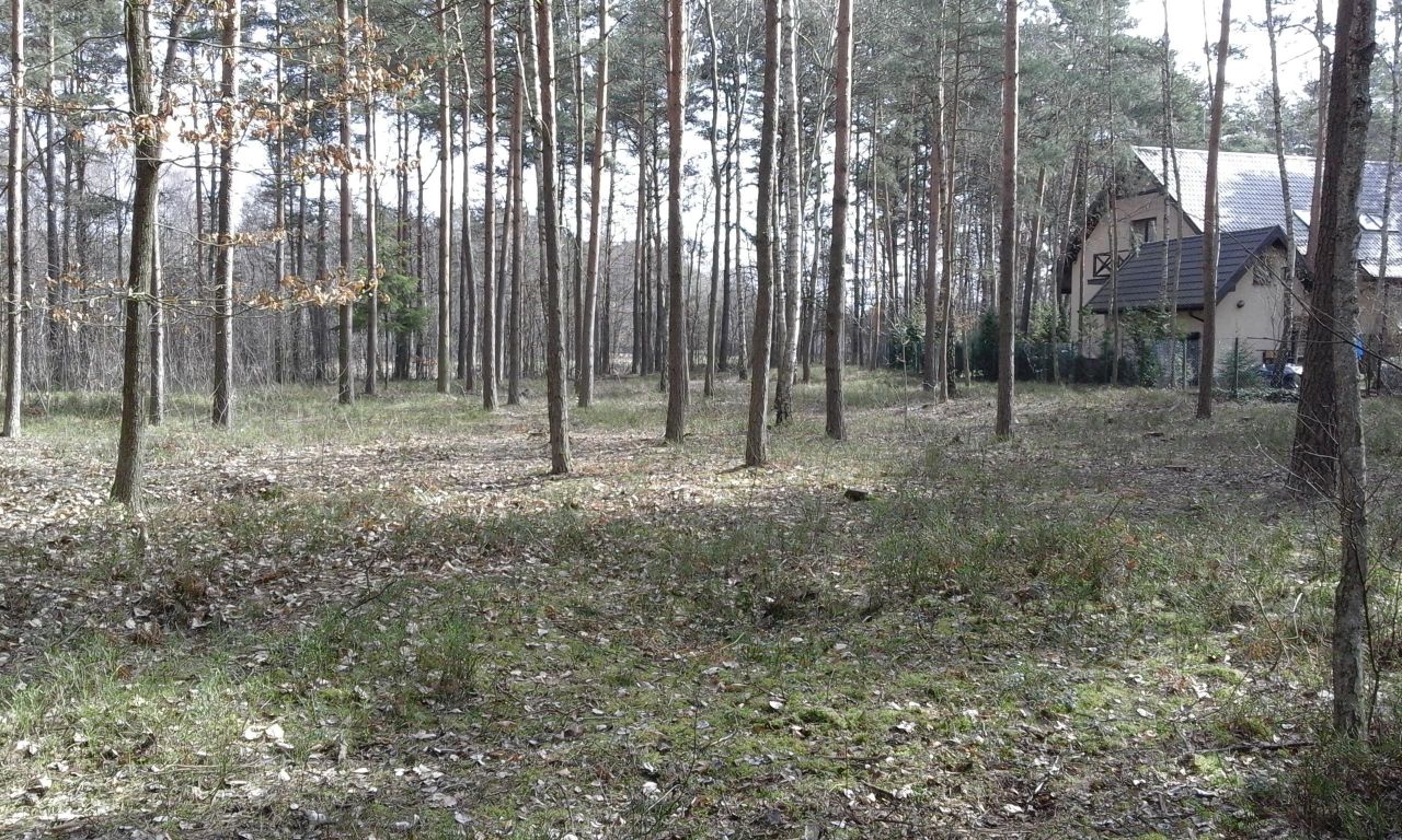 Działka budowlana Żarki-Letnisko, ul. Okrężna. Zdjęcie 8