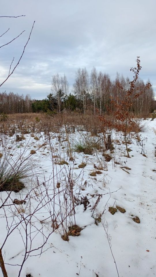Działka rolna Wola Wiewiecka. Zdjęcie 4