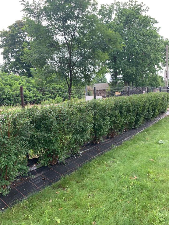 dom wolnostojący, 5 pokoi Warszawa Wawer, ul. Izbicka. Zdjęcie 21