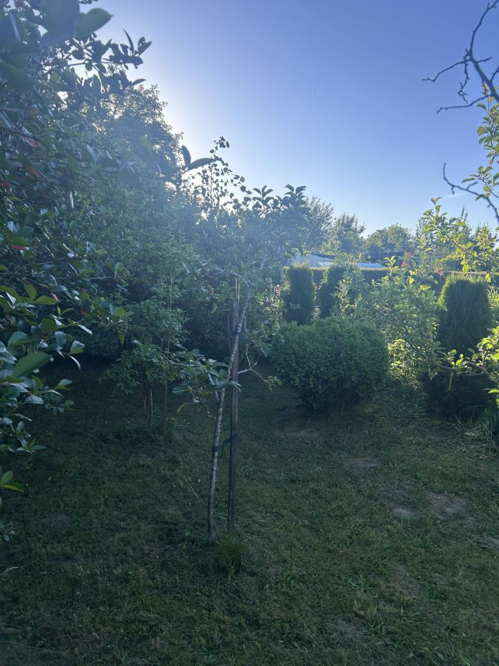 Działka rod Bierkowo. Zdjęcie 17