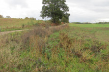 Działka budowlana Gościno. Zdjęcie 3