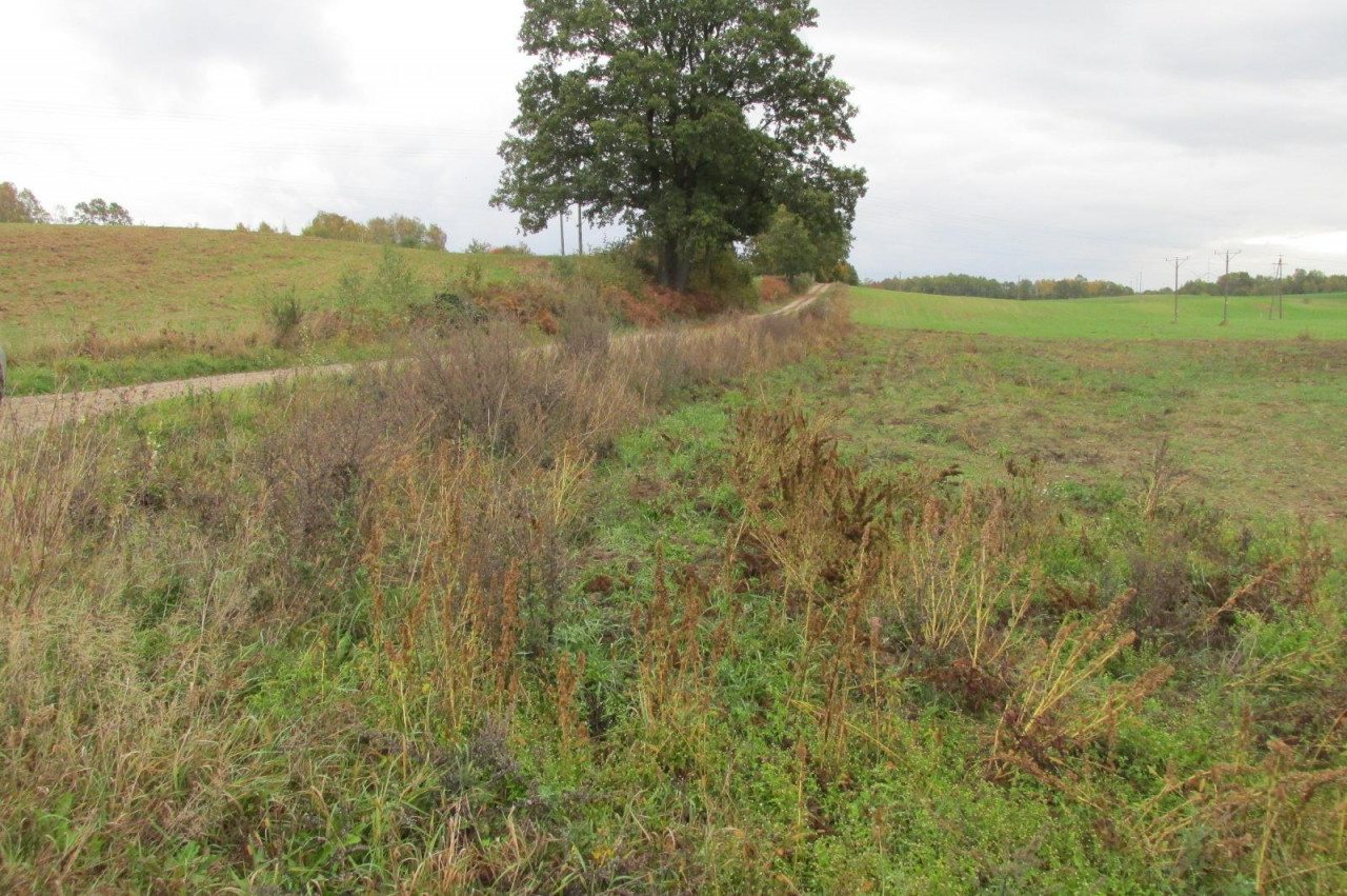 Działka budowlana Gościno. Zdjęcie 4
