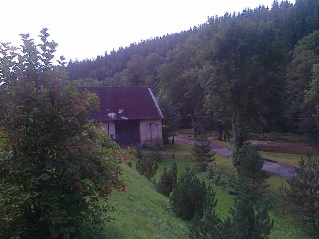 Działka rolno-budowlana Niemojów. Zdjęcie 1