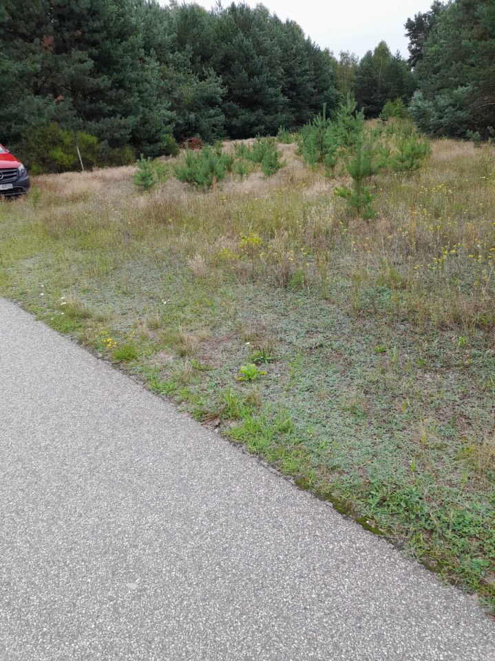 Działka rolna Podmieście. Zdjęcie 4