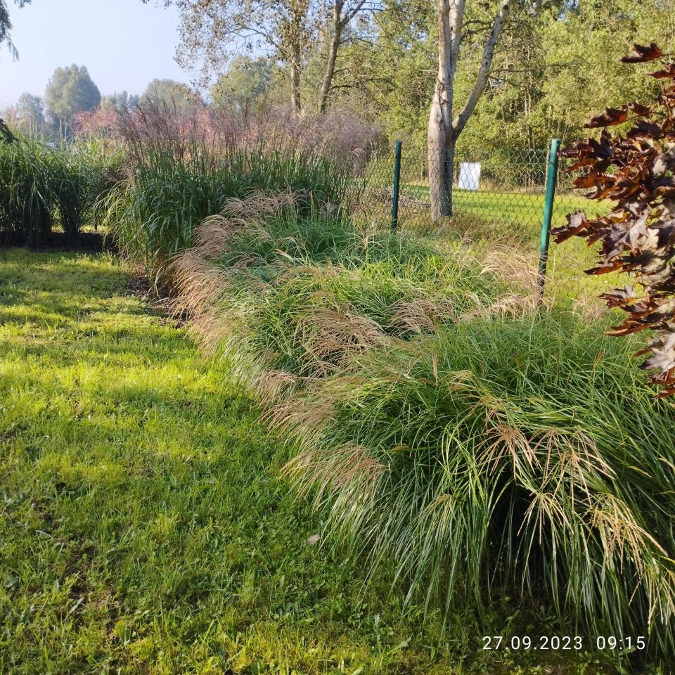 Działka rolna Ostrowo. Zdjęcie 5