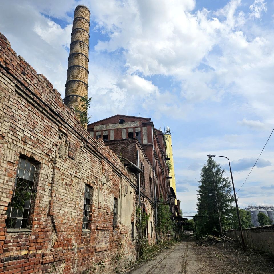 Hala/magazyn Strzegom, ul. Aleja Wojska Polskiego. Zdjęcie 7