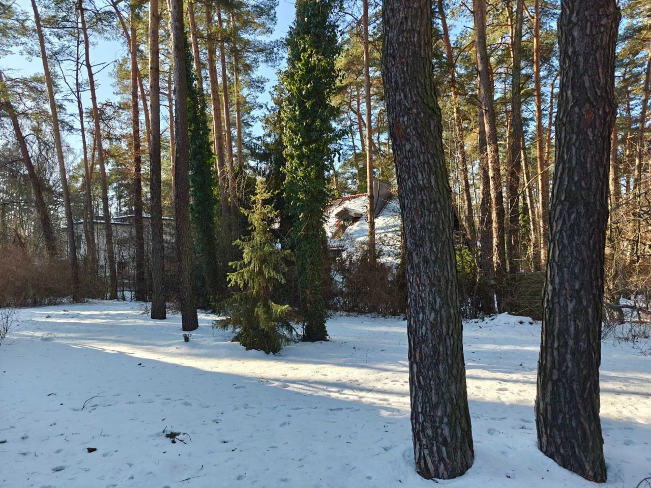 dom wolnostojący Podkowa Leśna. Zdjęcie 8