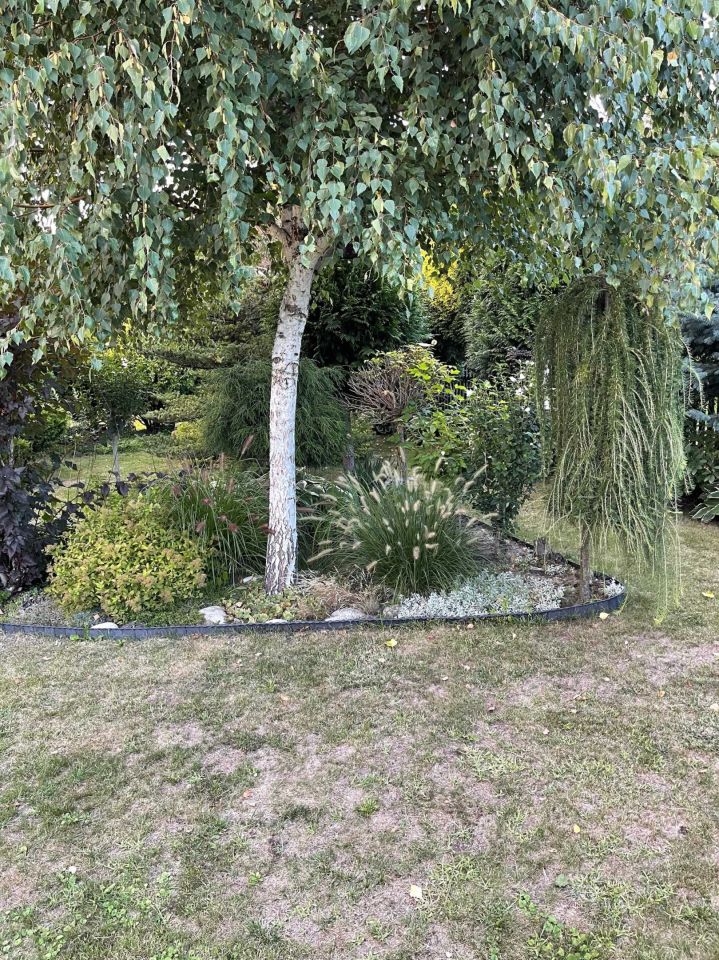 Działka rod Mielec. Zdjęcie 4