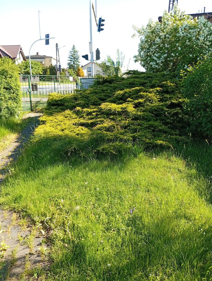 dom wolnostojący, 3 pokoje Ciągowice, ul. Zwycięstwa. Zdjęcie 11