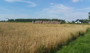 Działka na sprzedaż bez pośredników 
 
 ul. Zbulitowska 
 
 Radzyń Podlaski - Widok 5
