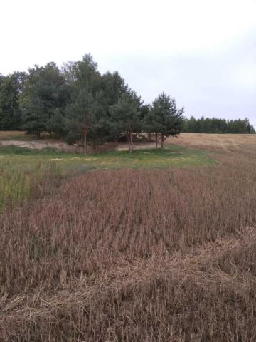 Działka budowlana Katarzynopole. Zdjęcie 6
