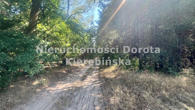 Działka rolna Wale. Zdjęcie 12