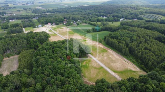 Działka budowlana Lipsko-Polesie. Zdjęcie 2