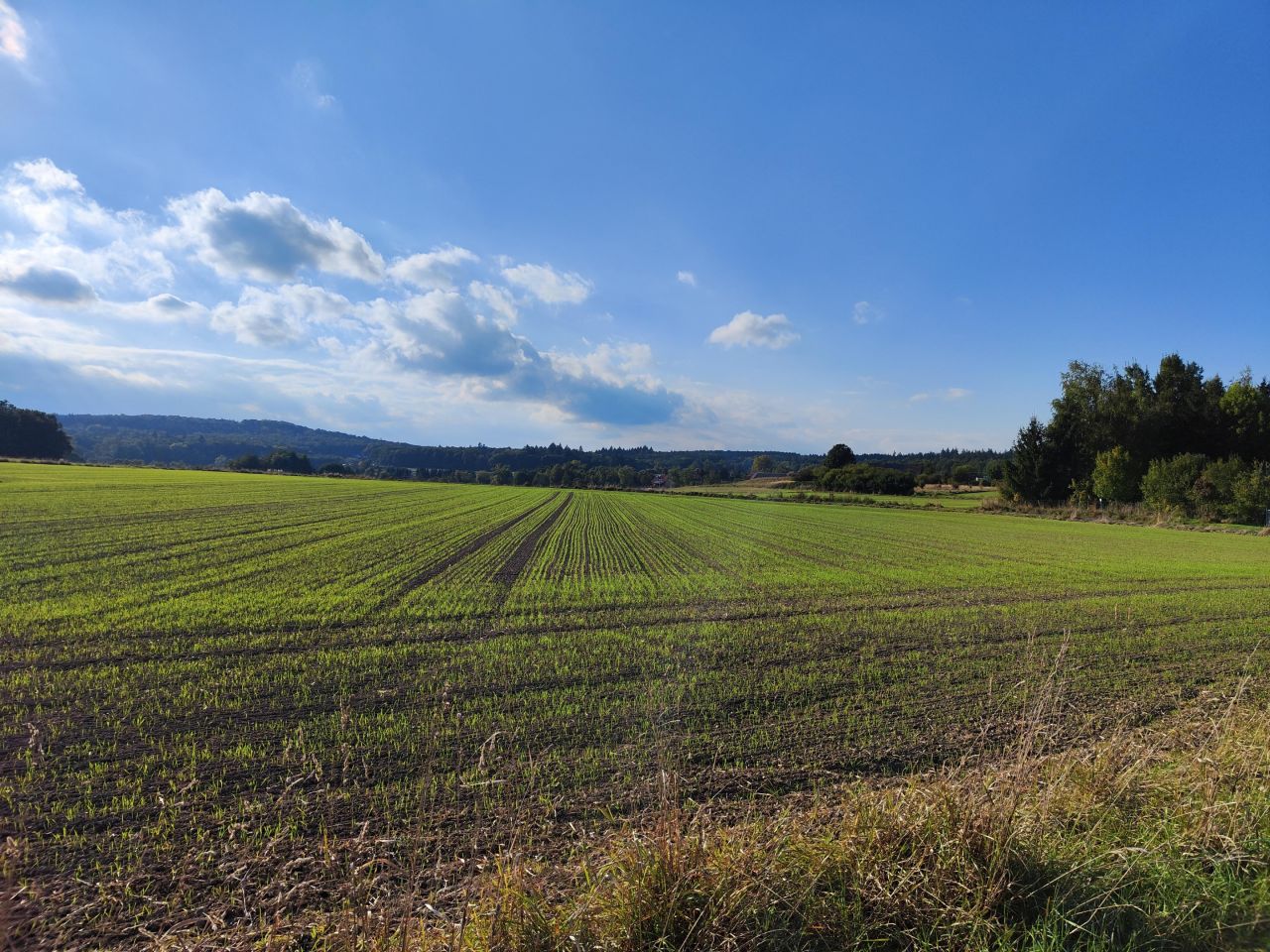 Działka budowlana Myślinów. Zdjęcie 2
