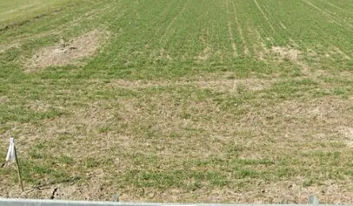 Działka inwestycyjna Świdnik Duży Świdnik Duży Drugi