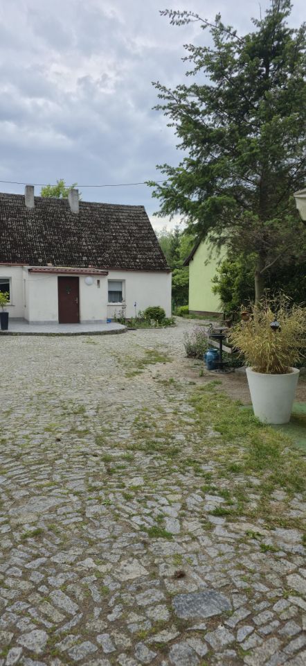 dom wolnostojący, 3 pokoje Świniary Świniarki. Zdjęcie 5