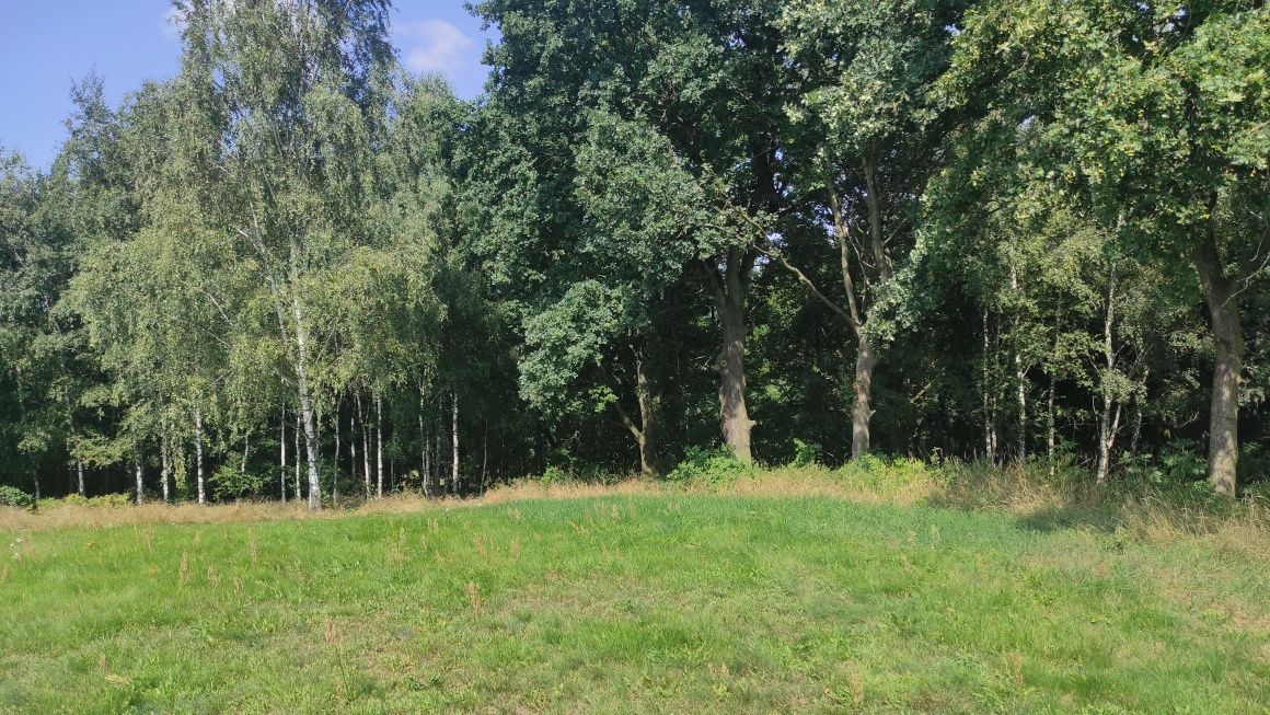 Działka budowlana Witków. Zdjęcie 4