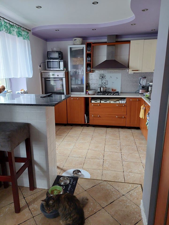 gospodarstwo, 7 pokoi Gaworzyce, ul. Główna. Zdjęcie 6