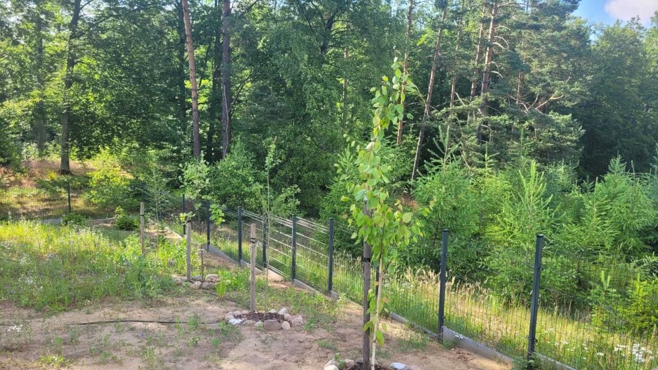 Działka rekreacyjna Kłodno. Zdjęcie 3