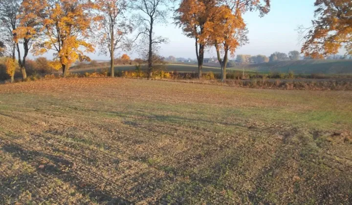 Działka rolno-budowlana Plemięta