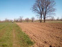 Działka rolno-budowlana Przęsławice. Zdjęcie 2