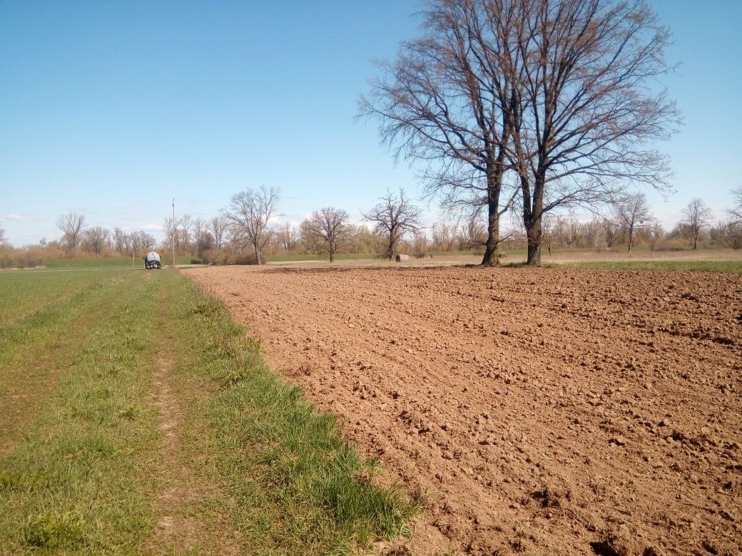 Działka rolno-budowlana Przęsławice. Zdjęcie 3