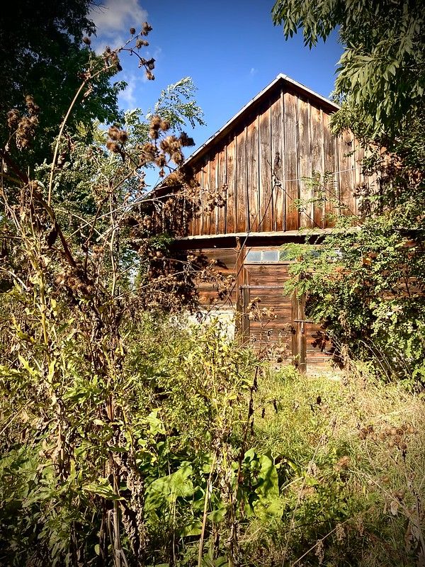 siedlisko, 4 pokoje Radzików-Oczki. Zdjęcie 23