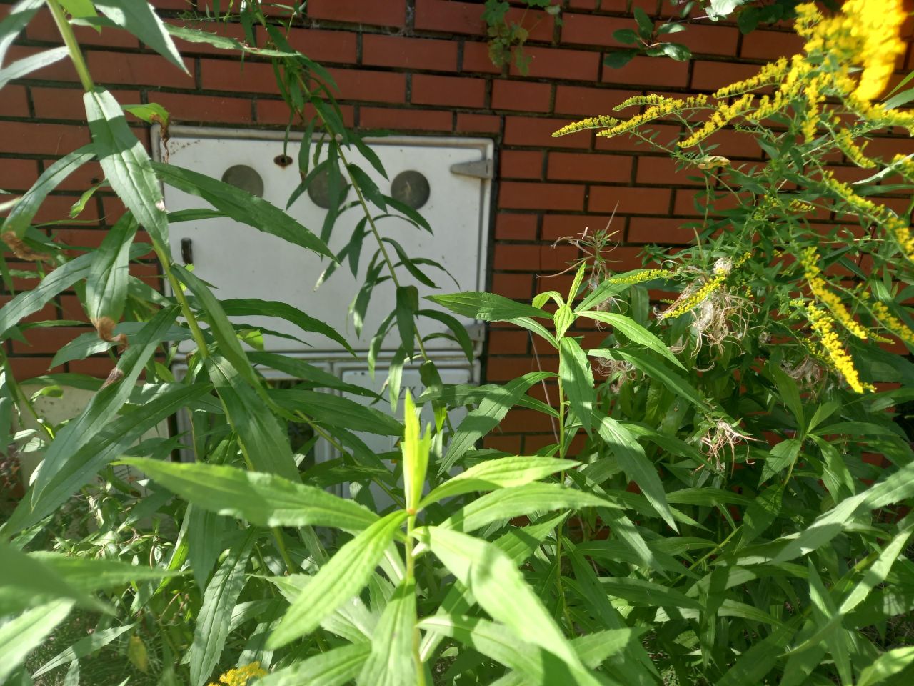 Działka inwestycyjna Siestrzeń, ul. Stepowa. Zdjęcie 6