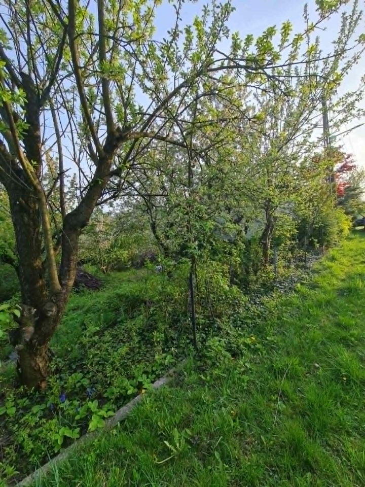 Działka rod Skoczów, Stalmacha. Zdjęcie 10