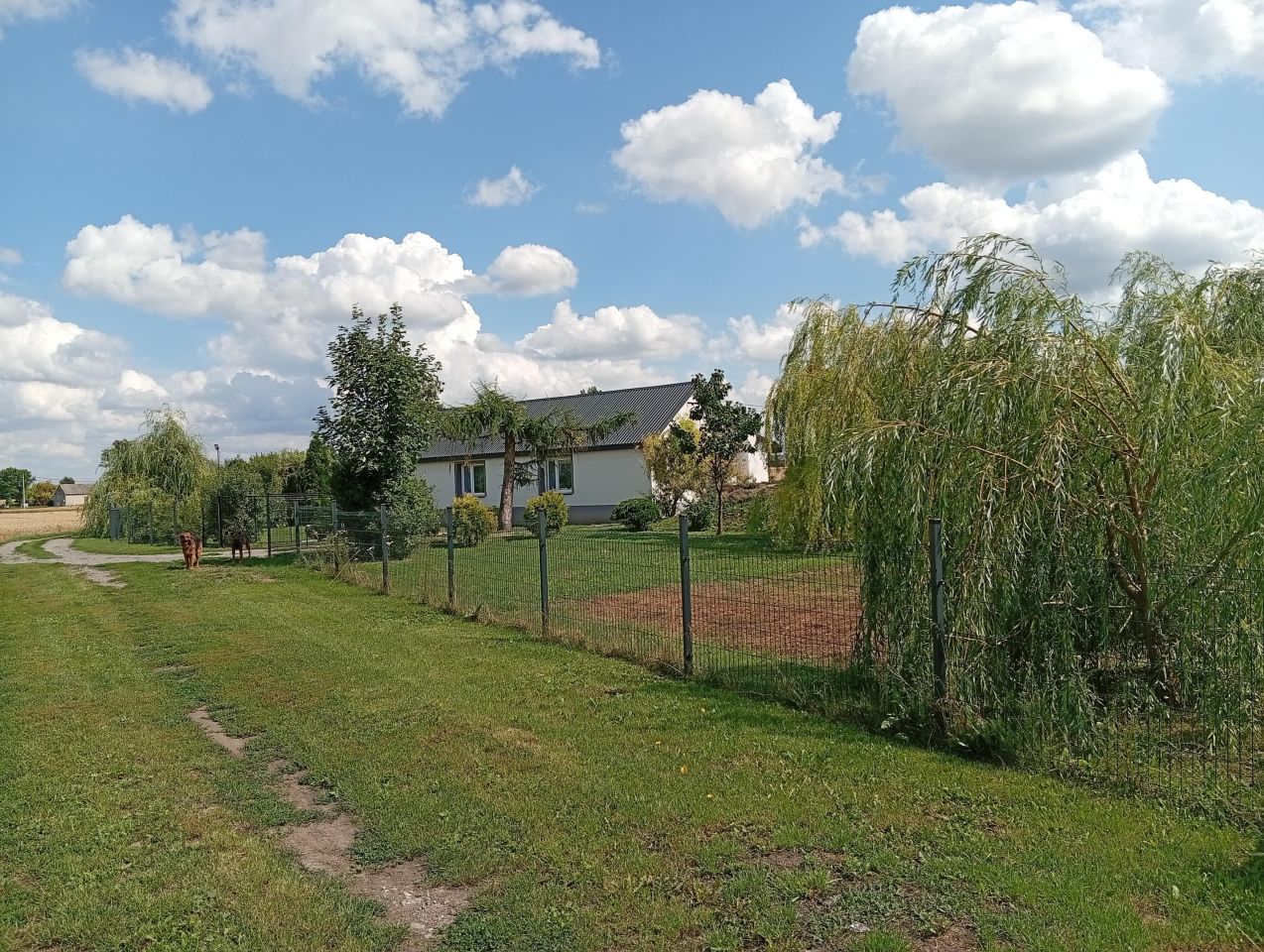 dom wolnostojący, 4 pokoje Brodzica. Zdjęcie 2