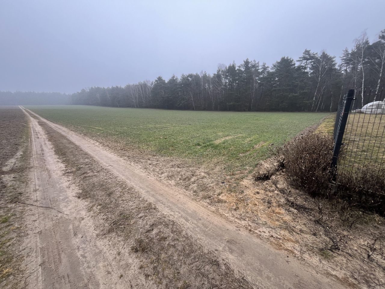Działka budowlana Ludwikowo. Zdjęcie 5