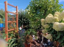 Działka rod Bełchatów. Zdjęcie 4