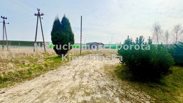 Działka Polichno. Zdjęcie 27