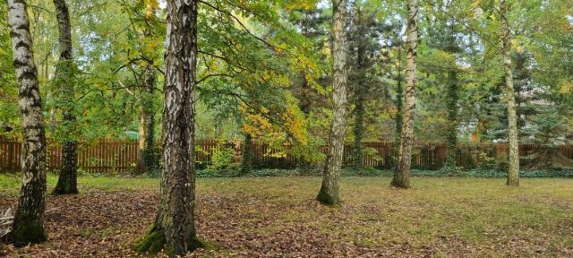 Działka budowlana Komorów. Zdjęcie 6