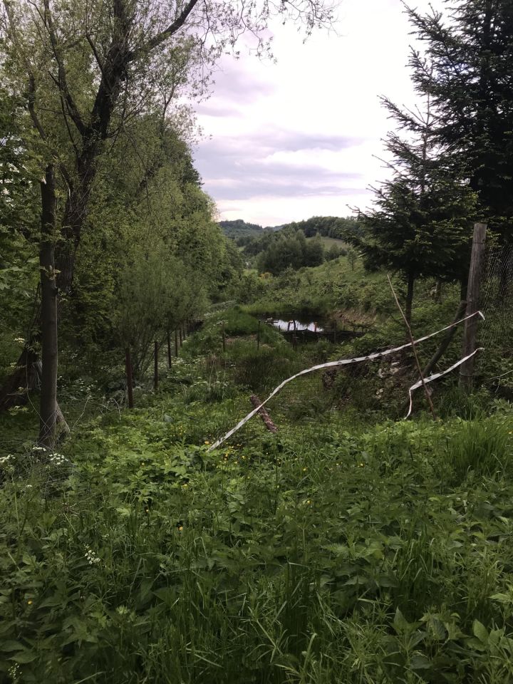 Działka budowlana Walim, ul. Anny Jagiellonki. Zdjęcie 7