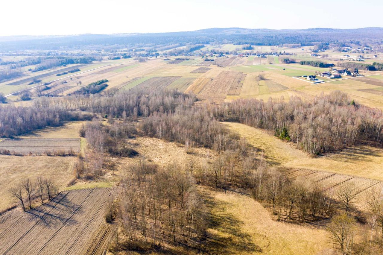 Działka rolna Małacentów. Zdjęcie 4