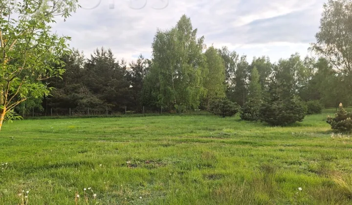 Działka rekreacyjna Zamek Bierzgłowski