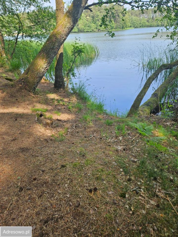 Działka budowlana Niedalino. Zdjęcie 2