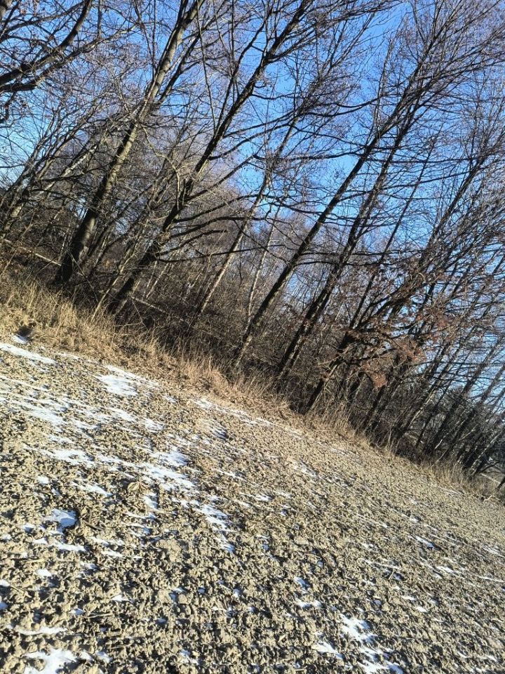 Działka budowlana Sędziszów Małopolski, ul. Jaśminowa. Zdjęcie 3