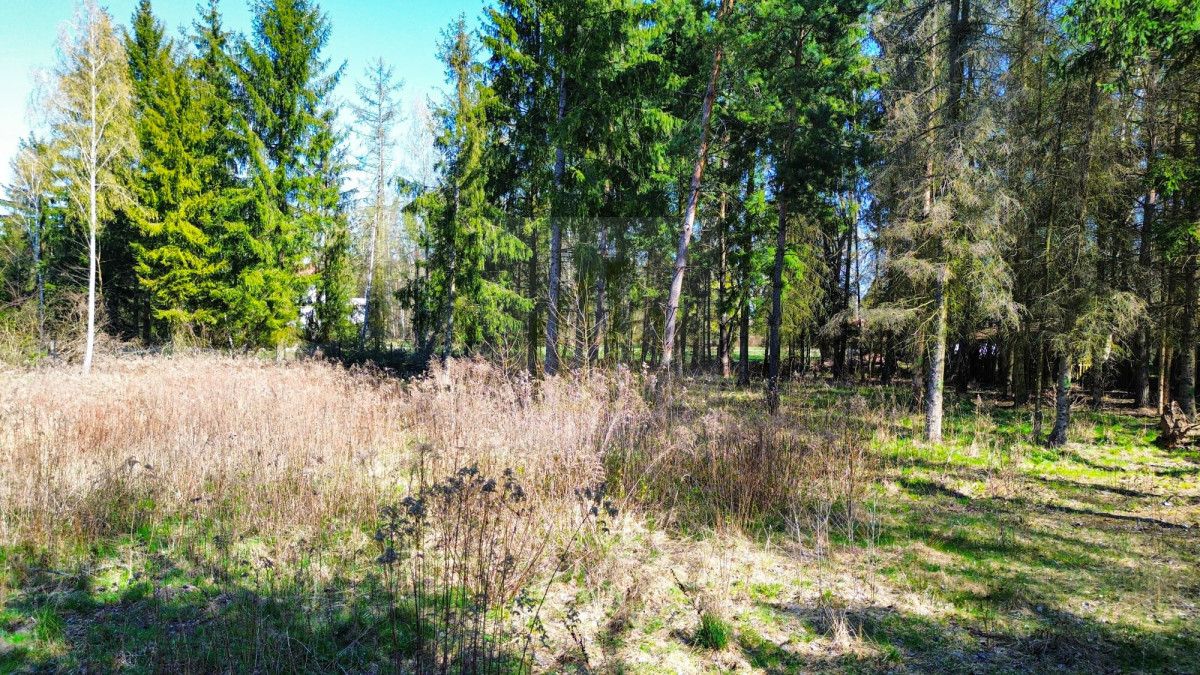 Działka budowlana Janinów. Zdjęcie 9